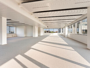 Compass in Antwerpen