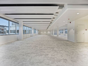 Compass in Antwerpen