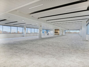 Compass in Antwerpen