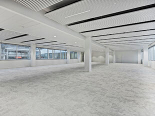 Compass in Antwerpen