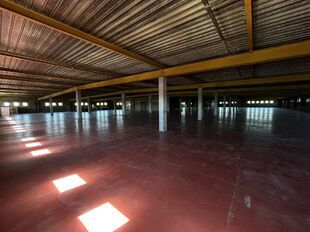 Op een strategische locatie aan de Noorderlaan te Antwerpen, vlakbij de haven en belangrijke ontsluitingswegen, bieden wij twee opslagverdiepingen aan van telkens ca. 2.300 m&sup2;.

Beide verdiepingen zijn bereikbaar via twee functionele goederenliften.

Ide