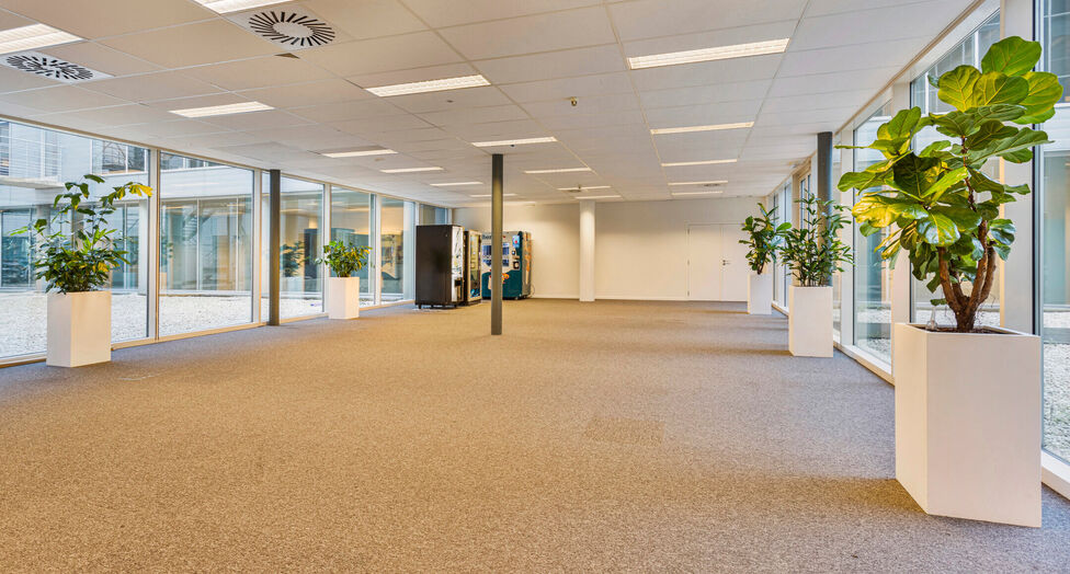 Antwerp Ring Center (ARC) biedt circa 4.000 m&sup2; kwalitatieve en flexibele kantoorruimte, verdeeld over vier bovengrondse verdiepingen. De eerste drie niveaus omvatten elk ca. 1.052 m&sup2;, de bovenste verdieping ca. 844 m&sup2; met aangename zichten. Zowel volle