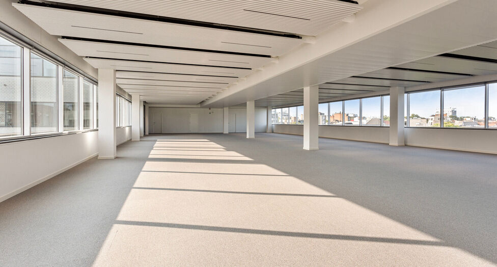 Compass in Antwerpen