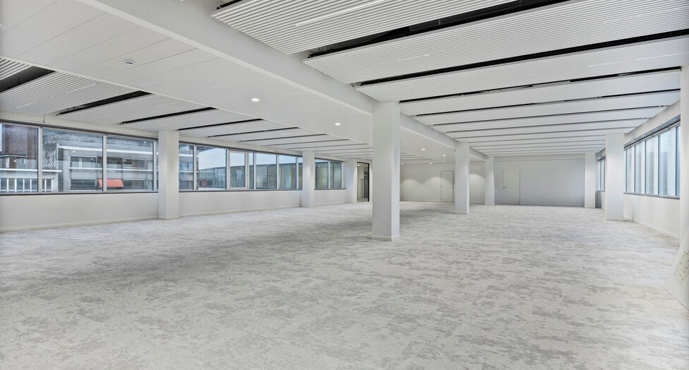 Compass in Antwerpen