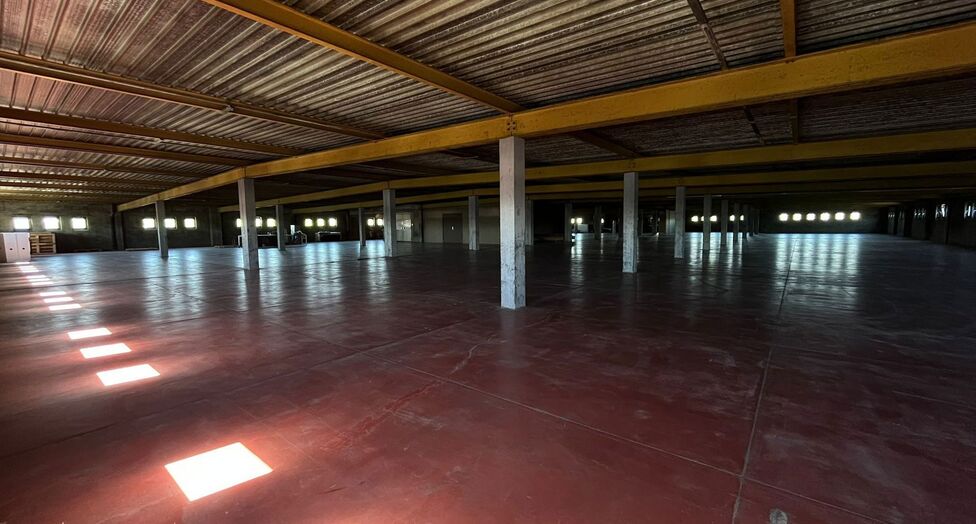 Op een strategische locatie aan de Noorderlaan te Antwerpen, vlakbij de haven en belangrijke ontsluitingswegen, bieden wij twee opslagverdiepingen aan van telkens ca. 2.300 m&sup2;.

Beide verdiepingen zijn bereikbaar via twee functionele goederenliften.

Ide