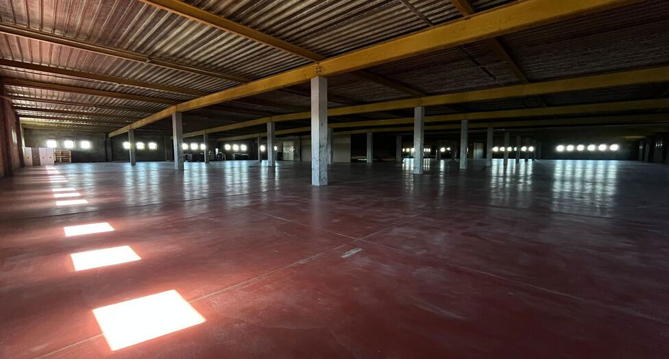 Op een strategische locatie aan de Noorderlaan te Antwerpen, vlakbij de haven en belangrijke ontsluitingswegen, bieden wij twee opslagverdiepingen aan van telkens ca. 2.300 m&sup2;.

Beide verdiepingen zijn bereikbaar via twee functionele goederenliften.

Ide
