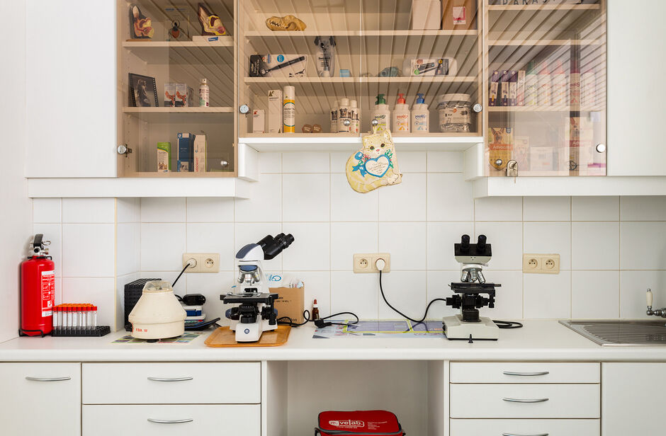 Deze mooie handelsruimte ligt pal in het commerciële centrum van Hove, met een mooie visibiliteit.

Het gelijkvloers heeft een private toegang vanaf de straat en is uitermate geschikt voor een waaier aan toepassingen (vb. vrije beroepen, groepspraktijk,.