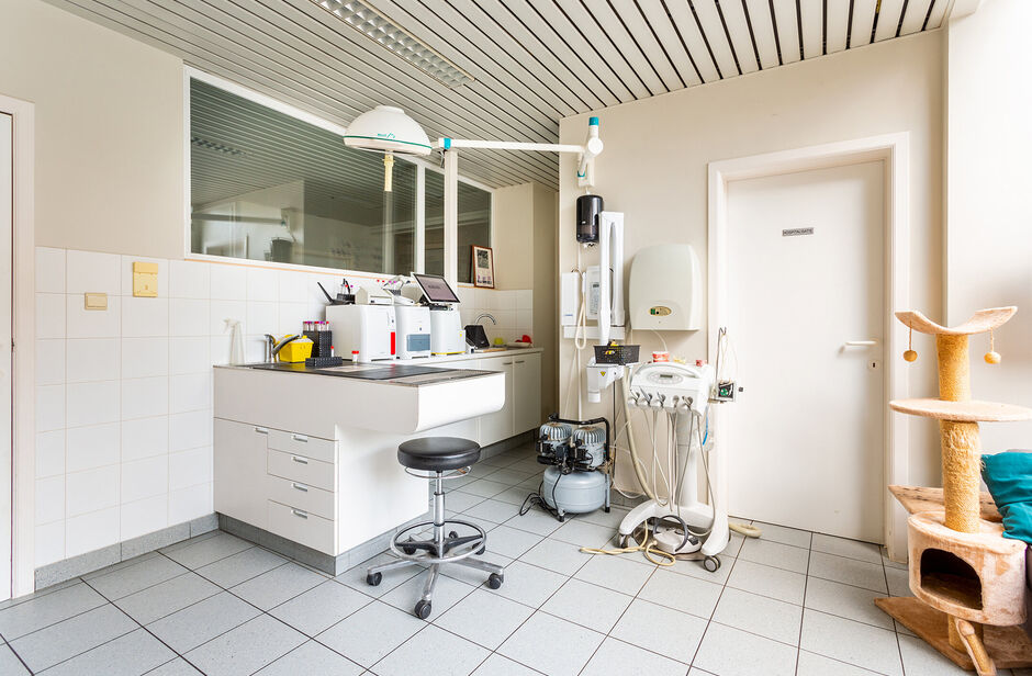 Deze mooie handelsruimte ligt pal in het commerciële centrum van Hove, met een mooie visibiliteit.

Het gelijkvloers heeft een private toegang vanaf de straat en is uitermate geschikt voor een waaier aan toepassingen (vb. vrije beroepen, groepspraktijk,.
