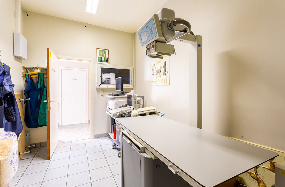 Deze mooie handelsruimte ligt pal in het commerciële centrum van Hove, met een mooie visibiliteit.

Het gelijkvloers heeft een private toegang vanaf de straat en is uitermate geschikt voor een waaier aan toepassingen (vb. vrije beroepen, groepspraktijk,.