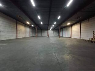 Industrieel gebouw te huur in Hoogstraten