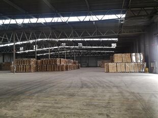 Industrieel gebouw te huur in Maasmechelen