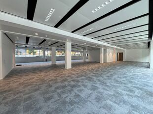 In de Generaal Lemanstraat 61 te Antwerpen-Berchem bevindt zich een recent gerenoveerde kantoorruimte met een eigentijdse uitstraling, volledig aangepast aan de noden van de moderne kantoorgebruiker anno 2025-2026.
Het gelijkvloers beschikt over een oppe