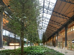 Kantoor te huur in Brussel