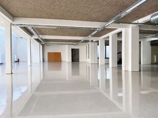 Gelijkvloers kantoor (ca. 601m²) met strategische ligging alsook 2 privatieve toegangen gelegen aan de Leien in het centrum van Antwerpen.
Het geheel is afgewerkt met een gietvloer alsook verlichting en ventilatie. Achteraan het pand bevinden zich lich