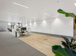Kantoor te koop in Antwerpen