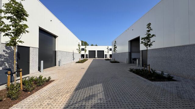 Deze KMO-unit, gelegen aan de Starrenhoflaan in Kapellen, heeft een oppervlakte van ca. 234 m&sup2; en wordt aangeboden tegen een huurprijs van &euro; 22.200/jaar. De ligging is bijzonder gunstig, met een vlotte aansluiting op de Kapelsestraat, de Kalmthoutseste